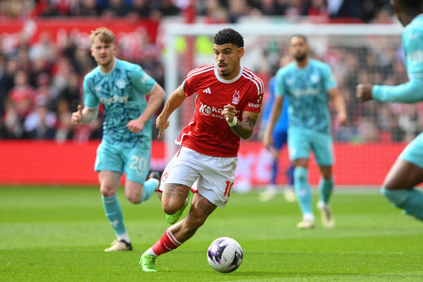 国体育文化 国体育文化