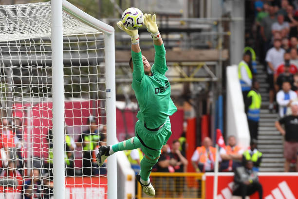 毛球的新生 毛球的新生