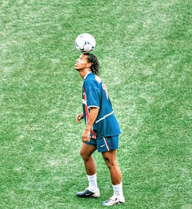 南方公牛 南方公牛